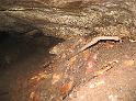 img_4766