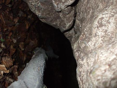 dscf2374.jpg