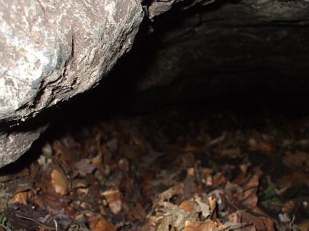 dscf2375.jpg