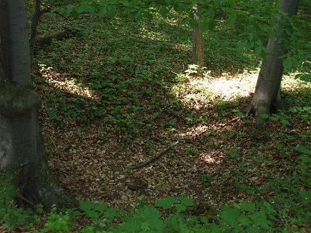dscf2392.jpg