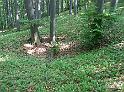dscf2386