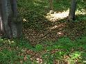 dscf2391
